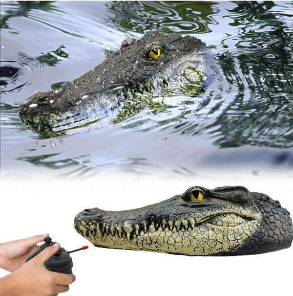 Crocodile Head With Remote Control