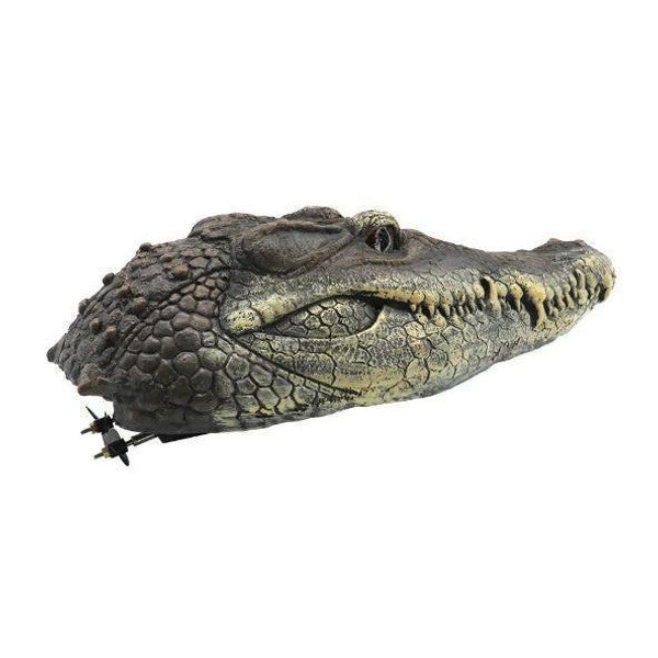 Crocodile Head With Remote Control