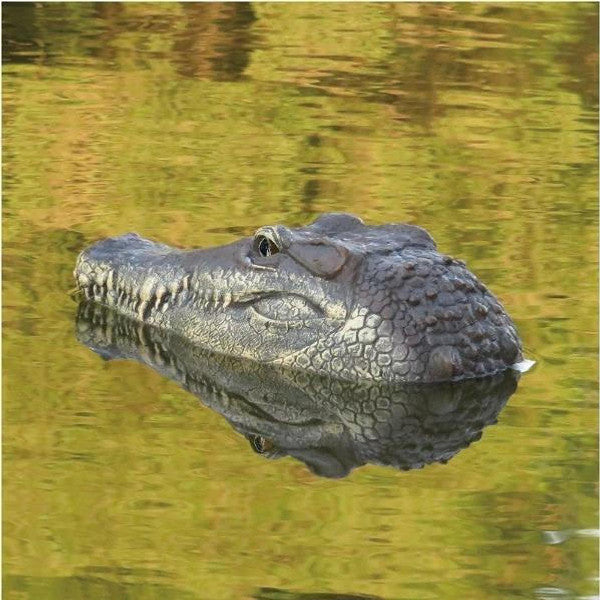 Crocodile Head With Remote Control