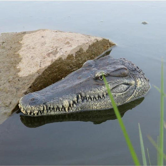 Crocodile Head With Remote Control