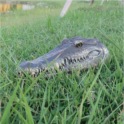 Crocodile Head With Remote Control